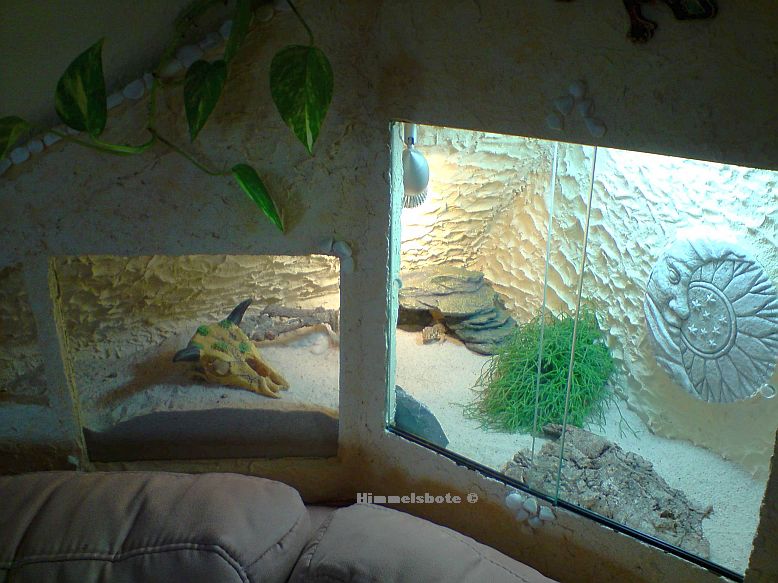 2-untereTerrarium