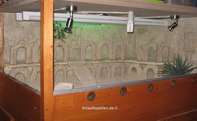 31-07-08-Fertigstellung_Dekowaende8vk