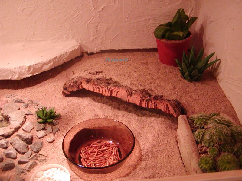 Futterstelle