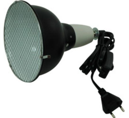 5 Lampe