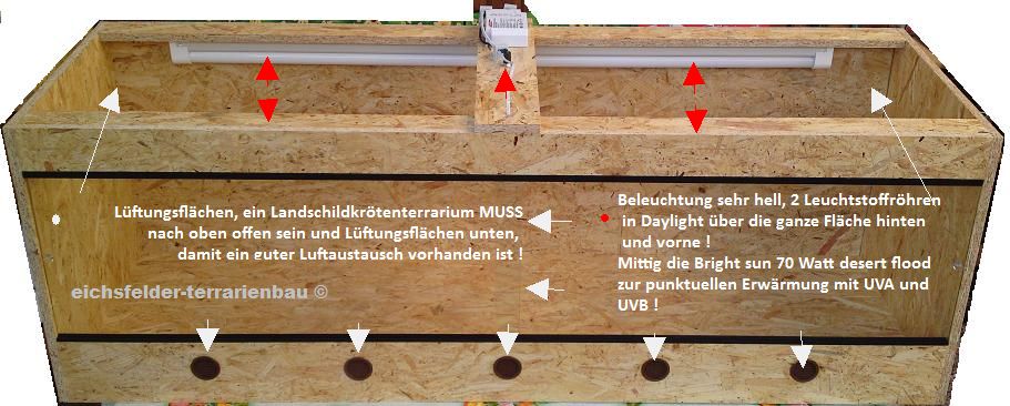 1 Schildkroetenterri-Beleuchtung