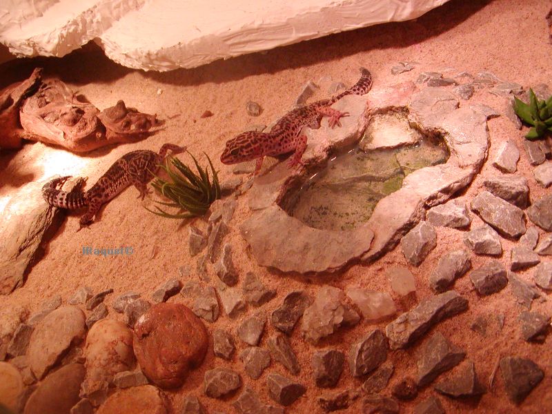 Wasserstelle