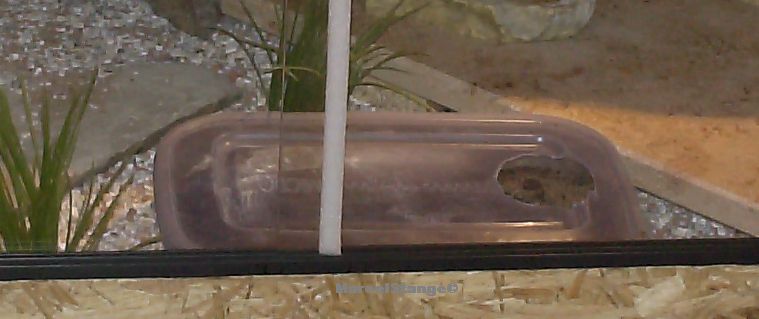 feuchte  Hoehle