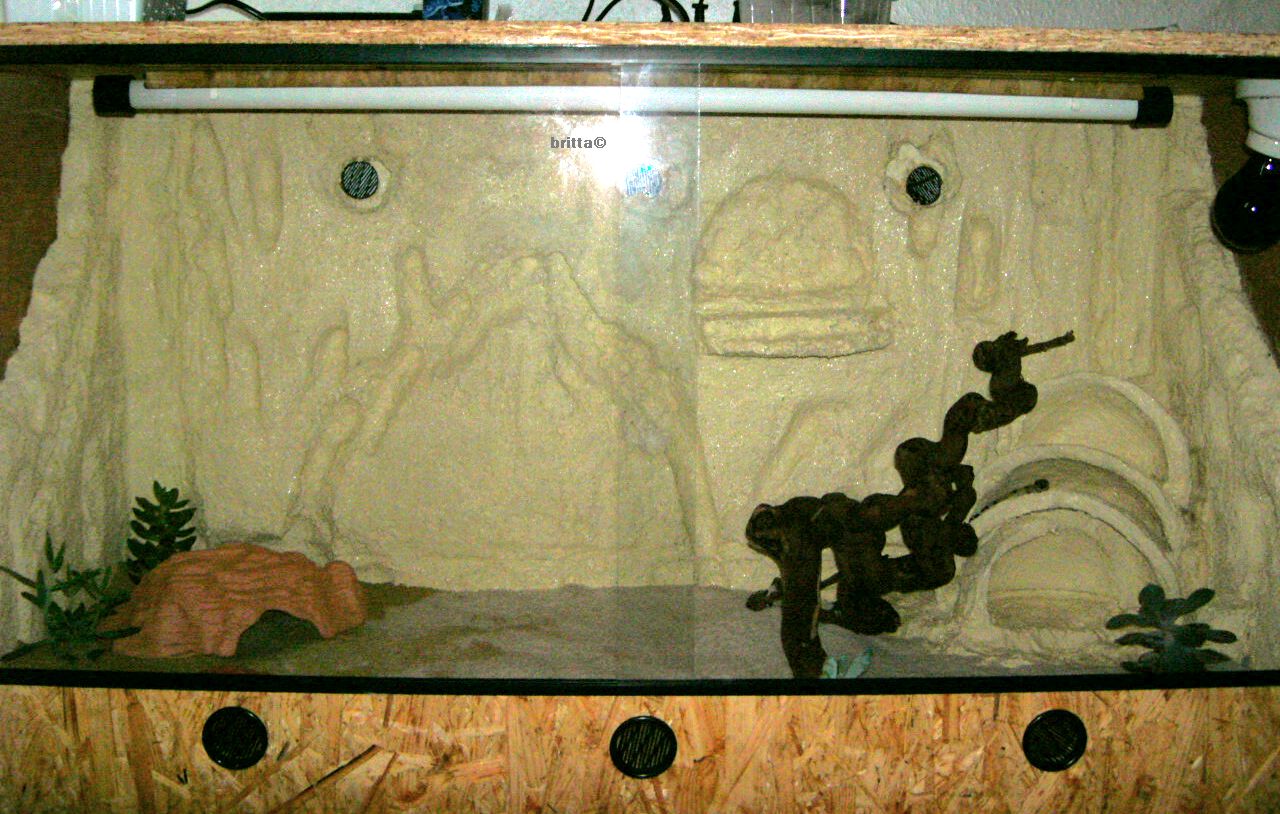 Leoterrarium von Britta
