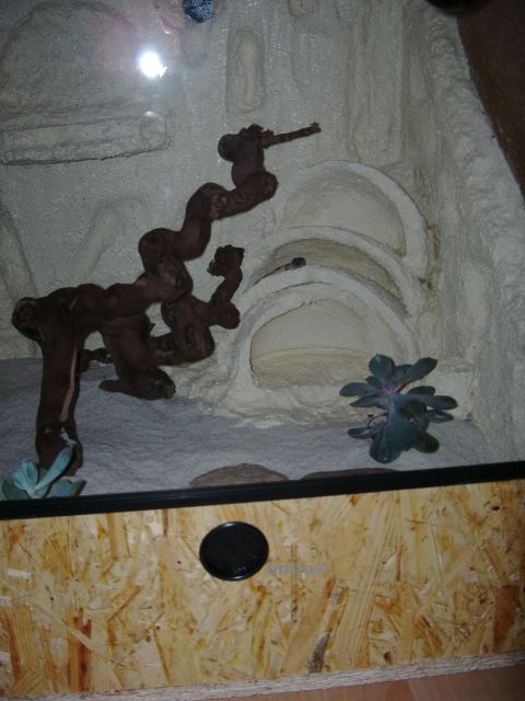 Hhle/Verstecke fr Leos