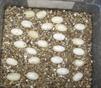 Vermiculite