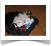 Apollo im Koffer....so wird man nicht vergessen :-)